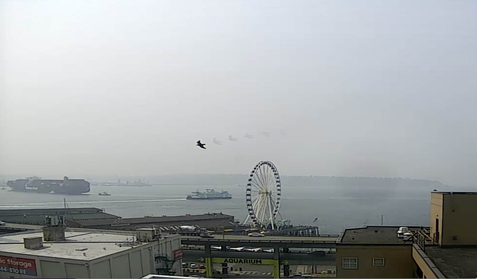 Seattle Waterfront Webcam SSW Whizzing Bird and Tanker 08 14 2018