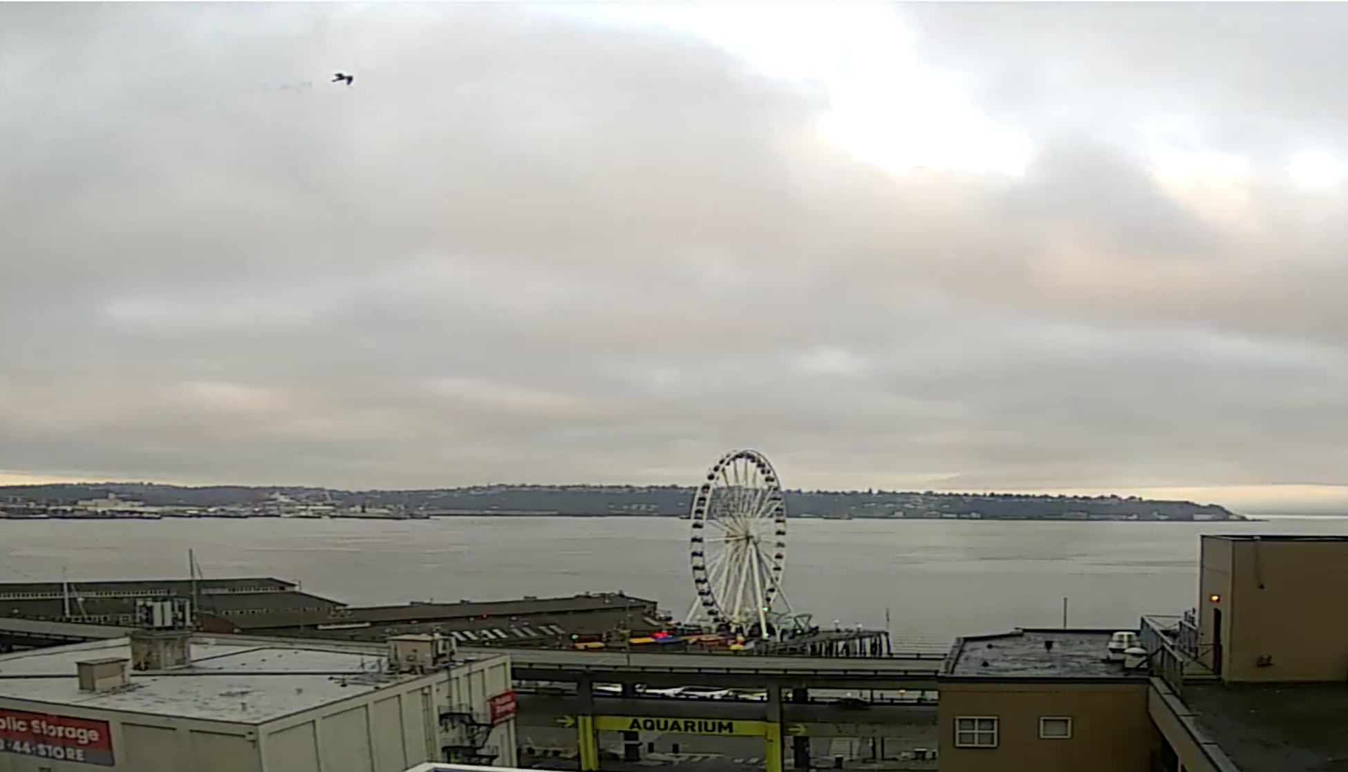 Seattle Waterfront Webcam SWW Big Bird 08 04 2018