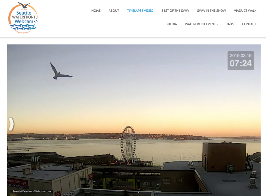 Seattle Waterfront Webcam Soaring Seagull at Sunset
