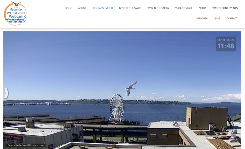 Seattle Waterfront Webcam Big Bird Above The Seattle Great Wheel