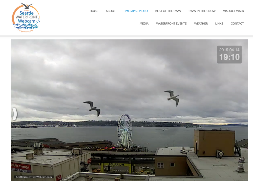 Seattle Waterfront Webcam Twin Seagulls Against Gray Skies