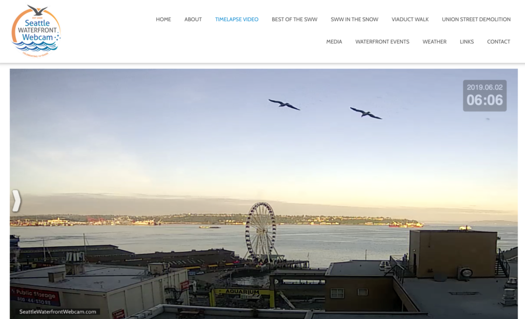 Seattle Waterfront Webcam High-Flying Twin Seagulls