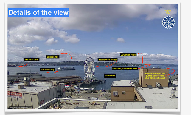 Seattle Waterfront Webcam Detail Shot 07 2019